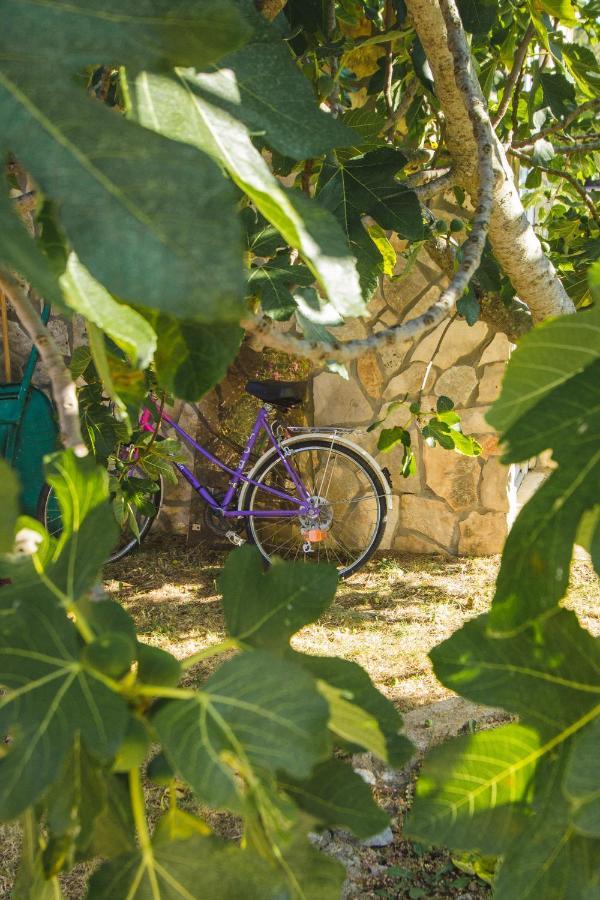 שיבניק Apartmani Alic מראה חיצוני תמונה